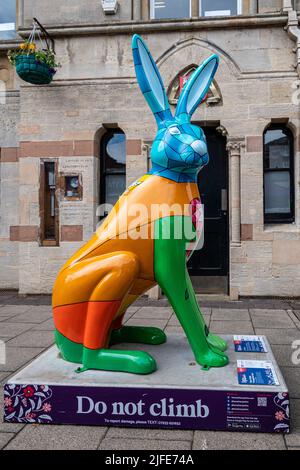 Hares of Hampshire Art Trail im Stadtzentrum von Winchester im Sommer 2022, England, Großbritannien. Farbenfrohe Hase-Skulptur vor der Guildhall. Stockfoto