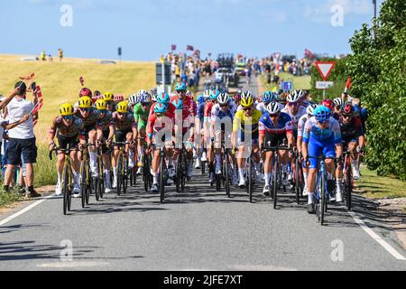 Abbildung Bild zeigt das Rudel von Fahrern in Aktion während der zweiten Etappe der Tour de France Radrennen, ein 202,2 km Rennen zwischen Roskilde und Nyborg, Dänemark, am Samstag, 02. Juli 2022. Die diesjährige Tour de France findet vom 01. Bis 24. Juli 2022 statt und startet mit drei Etappen in Dänemark. BELGA FOTO DAVID STOCKMAN Stockfoto