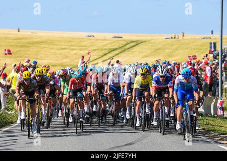 Abbildung Bild zeigt das Rudel von Fahrern in Aktion während der zweiten Etappe der Tour de France Radrennen, ein 202,2 km Rennen zwischen Roskilde und Nyborg, Dänemark, am Samstag, 02. Juli 2022. Die diesjährige Tour de France findet vom 01. Bis 24. Juli 2022 statt und startet mit drei Etappen in Dänemark. BELGA FOTO DAVID STOCKMAN Stockfoto