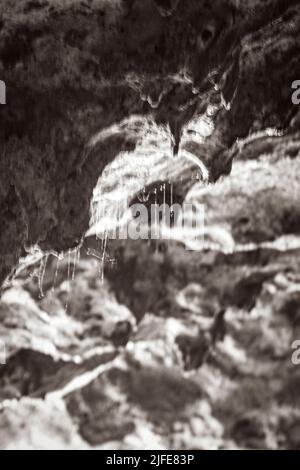Altes Schwarz-Weiß-Bild von Amazing blau türkis Wasser und Kalkstein Höhle Sinkhole Cenote bei Santuario de los guerereros in Puerto Aventuras Quint Stockfoto