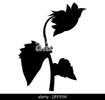 Isolierte Vektordarstellung. Sonnenblumenpflanze. Schwarz-weiße Silhouette. Stock Vektor