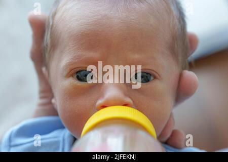 Nahaufnahme eines neugeborenen Babys, das auf der Milchflasche ansieht, während man die Kamera anschaut Stockfoto