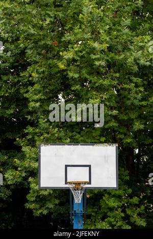 Basketballkorb im Wald Stockfoto