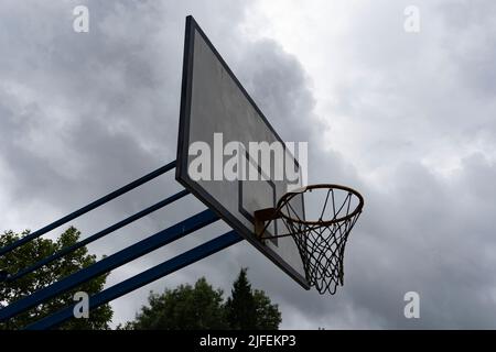 Basketballkorb im Wald Stockfoto