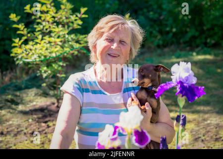 Porträt einer älteren Frau mit einem rassierteren Hund in den Armen im Freien in der Nähe von Irisblumen. Stockfoto