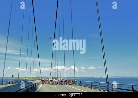 Abbildung Bild zeigt das Rudel von Fahrern in Aktion während der zweiten Etappe der Tour de France Radrennen, ein 202,2 km Rennen zwischen Roskilde und Nyborg, Dänemark, am Samstag, 02. Juli 2022. Die diesjährige Tour de France findet vom 01. Bis 24. Juli 2022 statt und startet mit drei Etappen in Dänemark. BELGA FOTO DAVID STOCKMAN Stockfoto