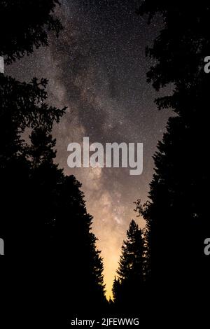 Milchstraße Auftauchen zwischen den Bäumen eines Waldbeckens Stockfoto