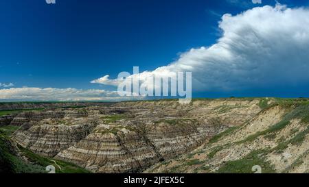 Horsethief Canyon im Red Deer River Valley, Canadian Badlands auf dem North Dinosaur Trail, Drumheller, Alberta, Kanada Stockfoto