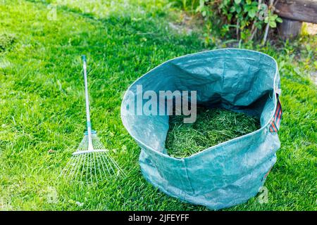 Frisches, natürlich geschnittenes Gras in einem blauen Beutel mit Rechen auf grünem Rasen. Vorbereitung zukünftiger Kompost, ökologischer organischer Dünger. Recycling Stockfoto