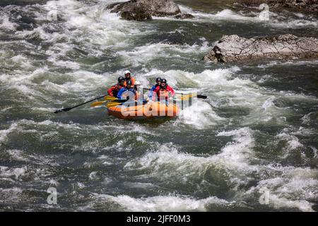 Koskia, Idaho/USA - 22. Juni 2022: Rafter genießen das hohe Wasser des Lochsa-Flusses nach einem sehr nassen Winter und Frühjahr 2021/2022. Stockfoto