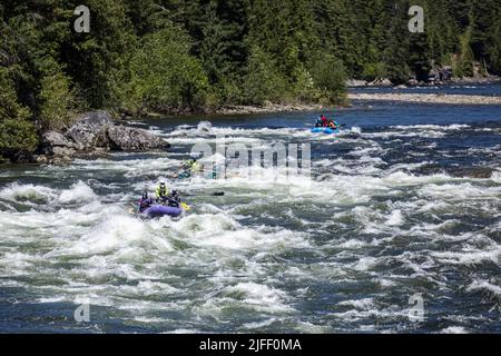 Koskia, Idaho/USA - 22. Juni 2022: Rafter genießen das hohe Wasser des Lochsa-Flusses nach einem sehr nassen Winter und Frühjahr 2021/2022. Stockfoto