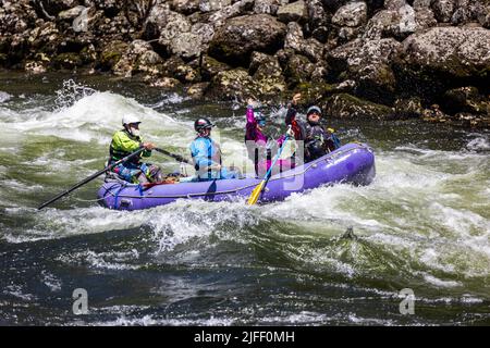 Koskia, Idaho/USA - 22. Juni 2022: Rafter genießen das hohe Wasser des Lochsa-Flusses nach einem sehr nassen Winter und Frühjahr 2021/2022. Stockfoto