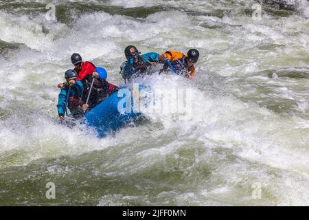 Koskia, Idaho/USA - 22. Juni 2022: Rafter genießen das hohe Wasser des Lochsa-Flusses nach einem sehr nassen Winter und Frühjahr 2021/2022. Stockfoto