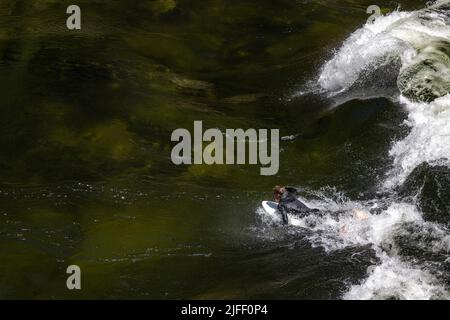 Koskia, Idaho/USA - 22. Juni 2022: Surfer genießen die Pipeline im Lochsa-Fluss. Die Pipeline ist als eine der ersten Flußsurfwellen bekannt Stockfoto