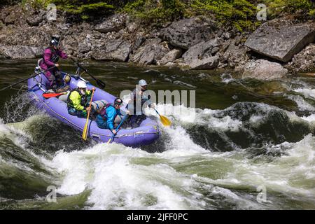 Koskia, Idaho/USA - 22. Juni 2022: Rafter genießen das hohe Wasser des Lochsa-Flusses nach einem sehr nassen Winter und Frühjahr 2021/2022. Stockfoto