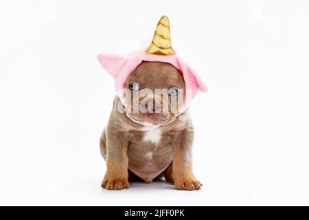 Französischer Bulldog Hund Welpe mit niedlichem rosa Einhorn Hut mit goldenem Horn Stockfoto