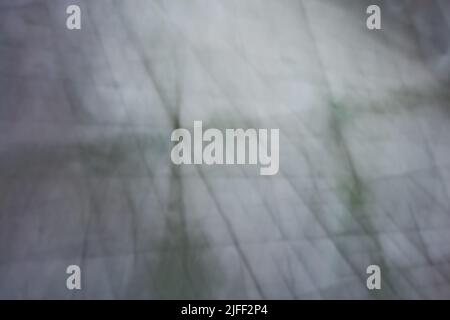 Abstraktion, Netzgewebe in Grautönen. Angst und Schrecken. Mystisches Thema. Hintergrund Stockfoto