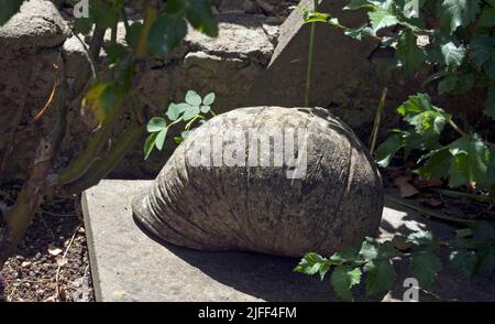 Große Beton Schnecke Garten Ornament Stockfoto