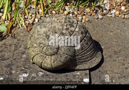 Große Beton Schnecke Garten Ornament Stockfoto