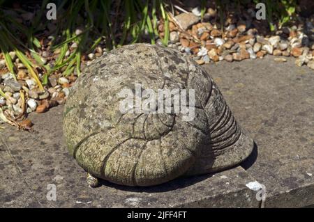 Große Beton Schnecke Garten Ornament Stockfoto