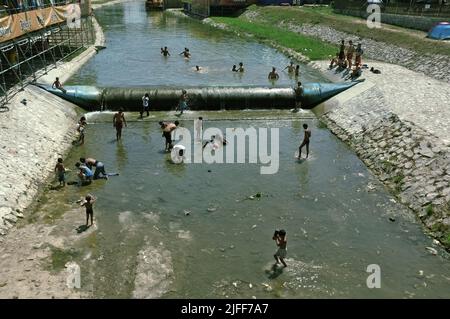 gypsy Community Abkühlung und Fang von kleinen Fischen durch die Hände in den flachen Gewässern des Flusses Bjelica in Guca, Serbien Stockfoto