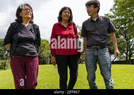 Gruppe von lateinischen Freunden mittleren Alters, die in einem Park spazieren und sich unterhalten, Sommerkonzept Stockfoto
