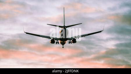 Die Silhouette eines Passagierflugzeugs, das vor dem Hintergrund des Sonnenuntergangs landet. Stockfoto