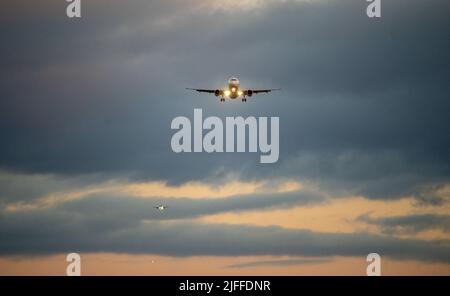 Die Silhouette eines Passagierflugzeugs, das vor dem Hintergrund des Sonnenuntergangs landet. Stockfoto