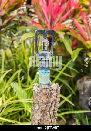 Altes springer Wasser im Garten Stockfoto