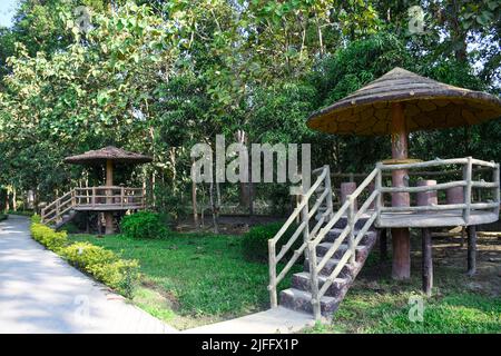 Holzschliff Zement Gartenlaube in Latguri Forest Resort, Jalpaiguri West Bengal Stockfoto