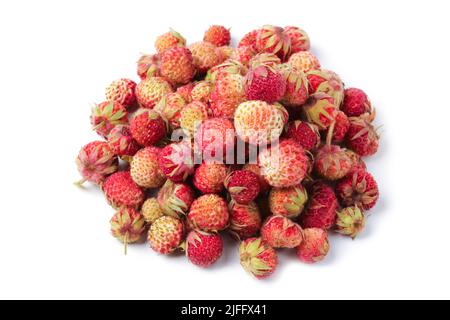 Eine Handvoll wilder Erdbeeren aus der Nähe, isoliert auf Weiß Stockfoto