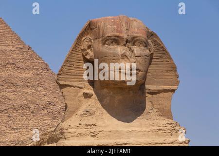 Die große Sphinx vor der Pyramide von Khepre in Gizeh gegen blauen Himmel Stockfoto