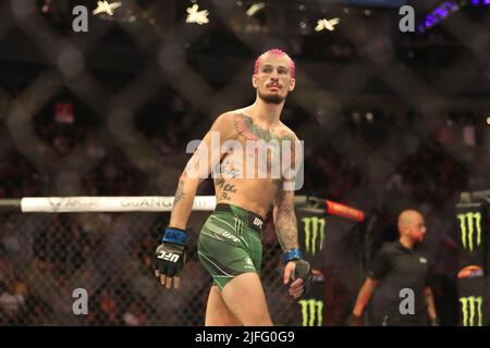 Las Vegas, Usa. 02.. Juli 2022. LAS VEGAS, NV - 2. JULI: Sean O'Malley während der UFC 276 Veranstaltung in der T-Mobile Arena am 2. Juli 2022 in Las Vegas, Nevada, USA. (Foto von Alejandro Salazar/PxImages) Credit: Px Images/Alamy Live News Stockfoto