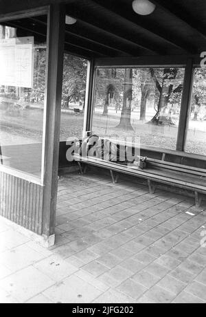 Obdachlos in den 1950s. Ein Mann wird auf der Bank an einer Bushaltestelle geschlafen dargestellt. Schweden 1954 Kristoffersson Ref. 2A-27 Stockfoto