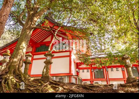 Nara, Japan - 5. Januar 2020. Detail eines historischen Tempels im Nara Park. Nara ist eine historische Stadt in Japan, berühmt für ihre vielen Tempel und Schreine. Stockfoto