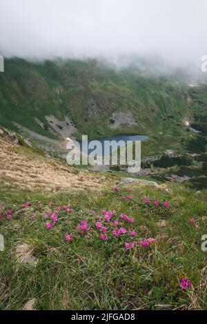 See Brebenescul in den ukrainischen Karpaten. Der Hoverla-Gipfel der ukrainischen Karpaten hängt vor dem Hintergrund des Himmels und der Wolken Stockfoto