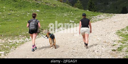 Zwei Freunde mit einem Hund wandern im Allgäu Deutschland Stockfoto