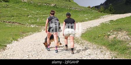 Zwei Freunde mit einem Hund wandern im Allgäu Deutschland Stockfoto