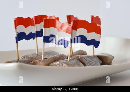 Den Helder, Niederlande. Juni 2022. Frischer Hering mit Zwiebeln und holländischen Flaggen auf weißem Hintergrund. Hochwertige Fotos. Nahaufnahme. Selektiver Fokus Stockfoto