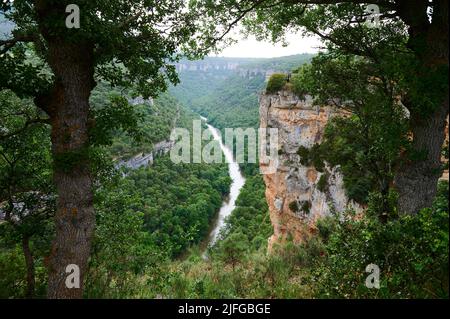 Ebro vom Aussichtspunkt aus gesehen in der Nähe von Pesquera de Ebro, Burgos, Spanien, Europa Stockfoto