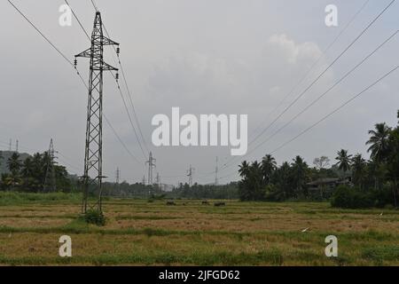 Horana,Kalutara District,Sri Lanka February 25 2022:Ein geerntetes Reisfeld mit einer elektrischen Leitungssäule an der Seite des Reisfeldes Stockfoto