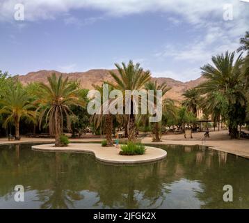 Der schöne Pool ist voll von klarem Wasser in der Mitte des Einot Tzukim Naturreservats, im Norden des Toten Meeres - Israel Stockfoto