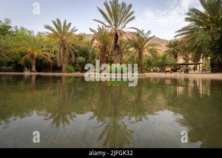 Der schöne Pool ist voll von klarem Wasser in der Mitte des Einot Tzukim Naturreservats, im Norden des Toten Meeres - Israel Stockfoto