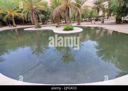 Der schöne Pool ist voll von klarem Wasser in der Mitte des Einot Tzukim Naturreservats, im Norden des Toten Meeres - Israel Stockfoto