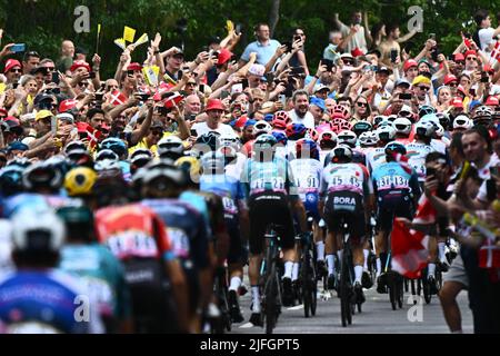 Vejle nach Sonderborg, Dänemark. 3.. Juli 2022. Sonderborg, Dänemark. 03.. Juli 2022. Radsportfans jubeln bei der dritten Etappe des Radrennens der Tour de France, 182km von Vejle nach Sonderborg, Dänemark, am Sonntag, den 03. Juli 2022 an. Die diesjährige Tour de France findet vom 01. Bis 24. Juli 2022 statt und startet mit drei Etappen in Dänemark. BELGA FOTO JASPER JACOBS Kredit: Belga Nachrichtenagentur/Alamy Live Nachrichtenquelle: Belga Nachrichtenagentur/Alamy Live Nachrichten Stockfoto