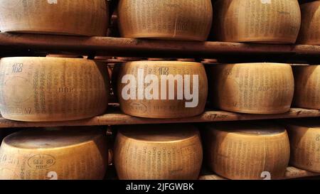 Tausende Formen von Parmigiano Reggiano im größten Parmesan-Käselager in der Nähe von Montecavolo, Reggio Emilia, Italien Stockfoto