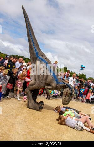 Dino Jurassic Live in Southport, Merseyside. UK Entertainment, Jurassic Live – Erleben Sie das furchtbar realistische T-Rex Dinosaurs Show Event Roarsome Adventure im Victoria Park Far Away Land Familienfest. Jurassic World Live ist eine Live-Show von Feld Entertainment und NBC Universal, die auf der Jurassic World-Franchise basiert. Familien mit Kindern strömten in den Victoria Park, um ein „Far Away Land“ zu besuchen, um Animatronic-Riesenspaziergänge zu sehen – ein prähistorisches Wochenenderlebnis. Stockfoto