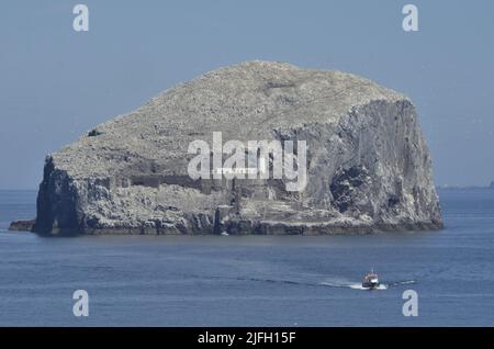 NORTH BERWICK, SCHOTTLAND, Großbritannien - 20. Juni - 2022 - gleich, aber anders…Bass Rock vor der Küste von East Lothian sieht aufgrund der Vogelgrippe anders aus. Stockfoto