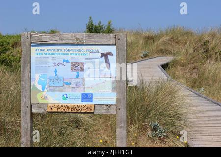Informationen Zeichen an gronant Dünen SSSI, Wales - der Standort einer zuchtpopulation von Zwergseeschwalben Stockfoto