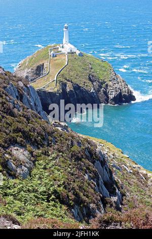 South Stack Leuchtturm, Anglesey, Wales Stockfoto